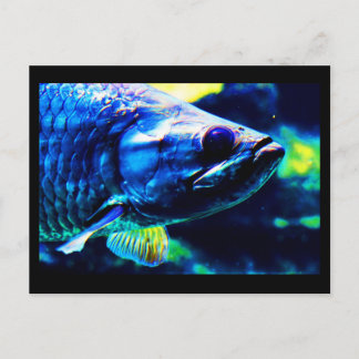 Postcard-Animals-19 Postcard