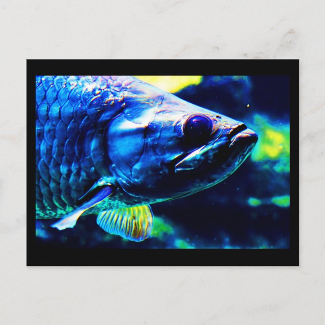 Postcard-Animals-19 Postcard (Front)