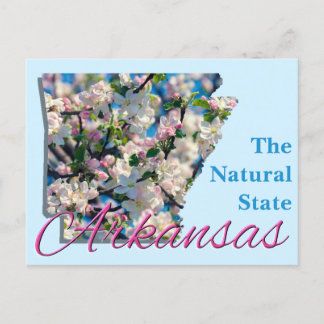 Postcard - ARKANSAS