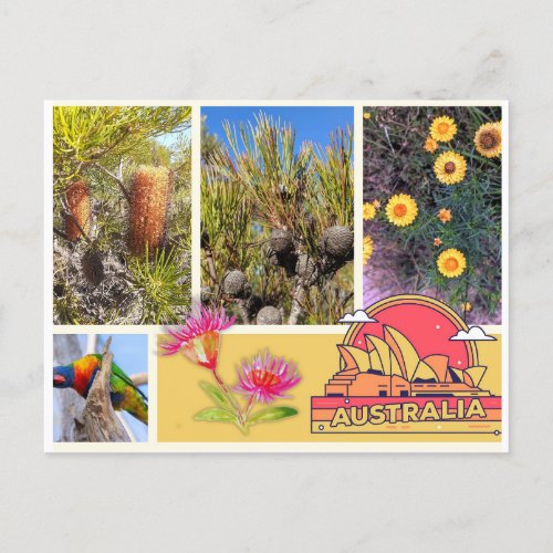 Postcard Australia 