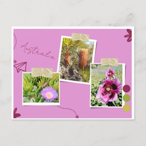 Postcard Australia flowers
