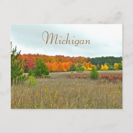 Postcard, "autumn Comes To Michigan" Postcard