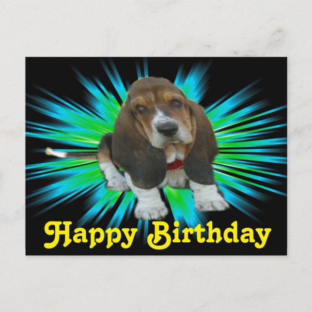 Postcard Baby Basset Sheldon Happy Birthday (Front)