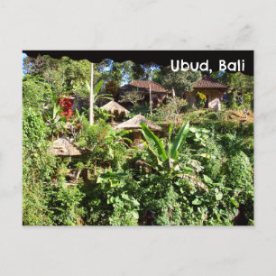 Postcard Bali Indonesia Tropical Plants Grass Huts