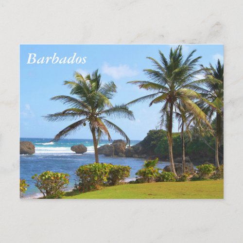 Postcard Barbados Beach Scene Palm Trees Postcard