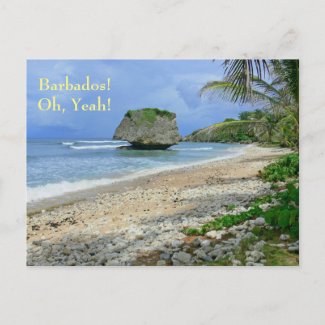 postcard, BARBADOS! OH, YEAH!/ BATHSHEBA ROCK