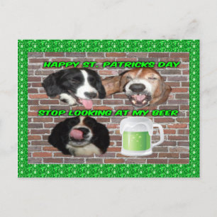 Postcard Basset Hound Stop Looking At My Beer