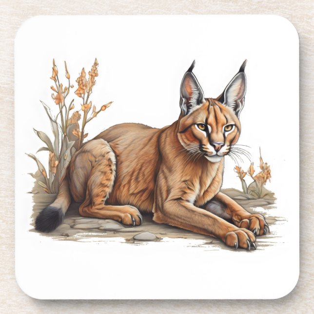 Postcard Beverage Coaster (Front)