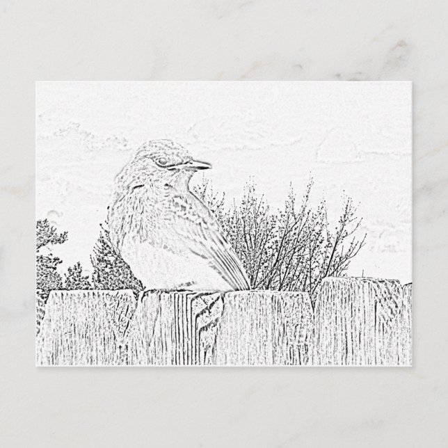 Postcard - Bird on Fence to Color (Front)