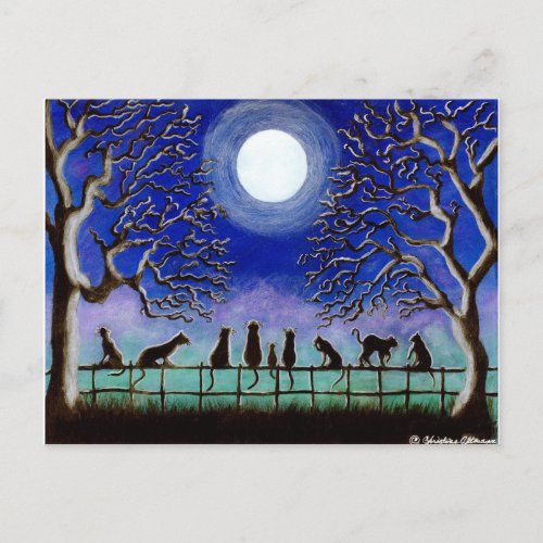 PostcardBlackcatslandscapeeverydayHalloween Postcard