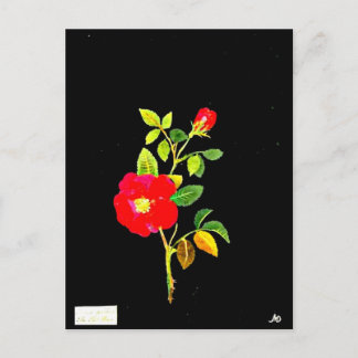 Postcard-Botanical Art-Mary Delany 16 Postcard