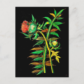 Postcard-Botanical Art-Mary Delany 6 Postcard