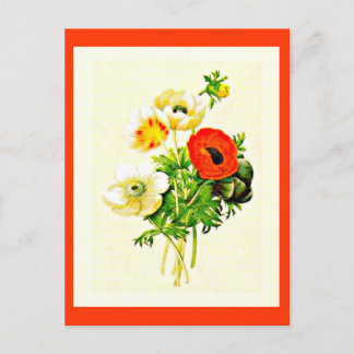 Postcard-Botanicals-Pierre Joseph Redoute 24 Postcard