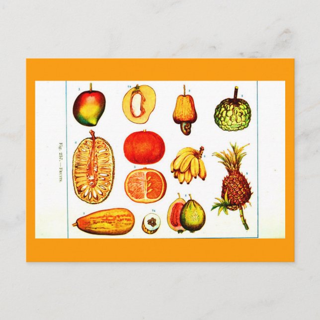 Postcard-Botanicals-Yellow & Orange Fruits Postcard (Front)