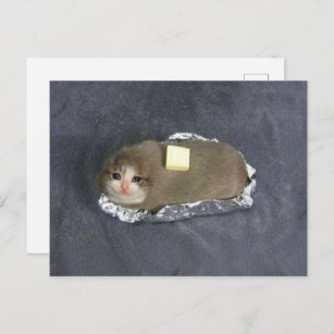 Postcard Butta Cat Meme