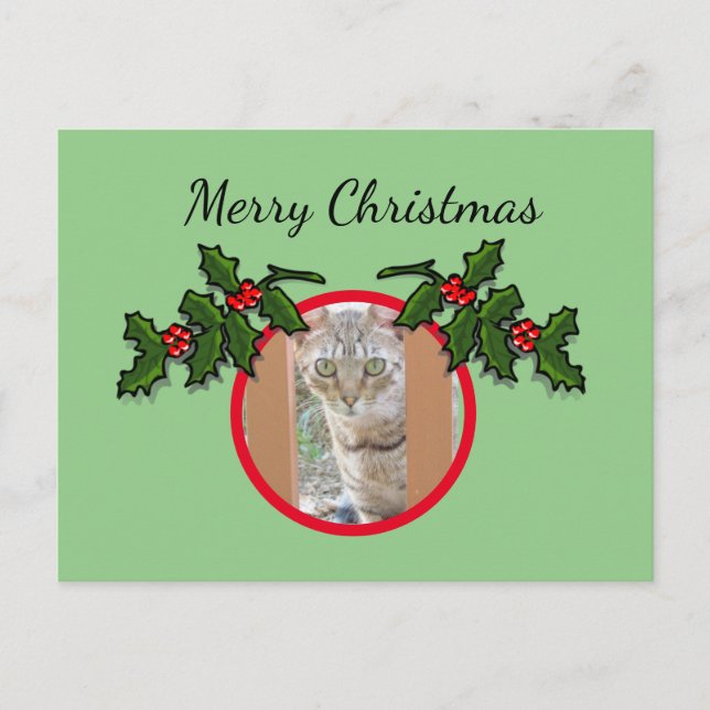 Postcard - Cat and Christmas Greeting (Front)