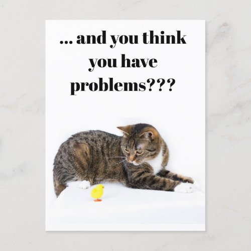 Postcard cat looks at chicks of black humor