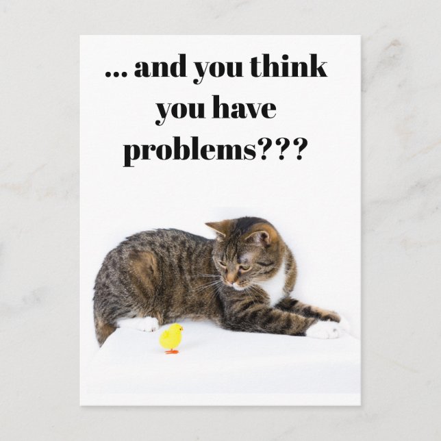 Postcard cat looks at "chicks" of black humor (Front)