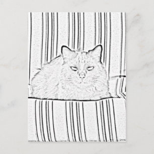 Postcard - Cat on Striped Chair to Color