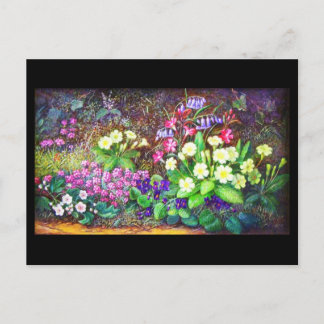 Postcard-Classic/Vintage-Albert Durer Lucas 13 Postcard