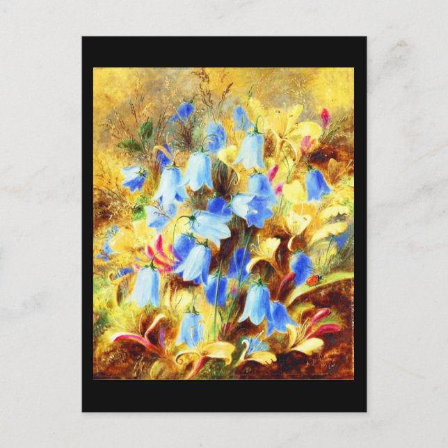 Postcard-Classic/Vintage-Albert Durer Lucas 14 Postcard (Front)