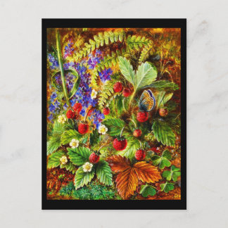 Postcard-Classic/Vintage-Albert Durer Lucas 15 Postcard