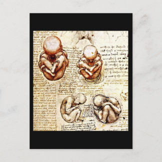 Postcard-Classic/Vintage-Leonardo da Vinci 9 Postcard
