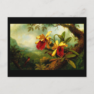 Postcard-Classic/Vintage-Martin Johnson Heade 11 Postcard