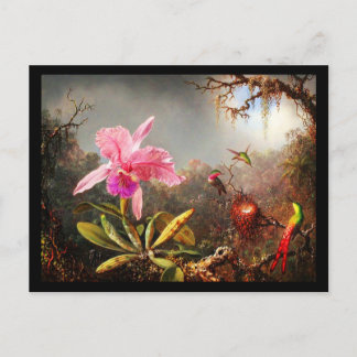 Postcard-Classic/Vintage-Martin Johnson Heade 29 Postcard