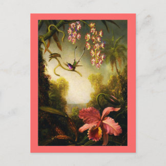 Postcard-Classic/Vintage-Martin Johnson Heade 32 Postcard