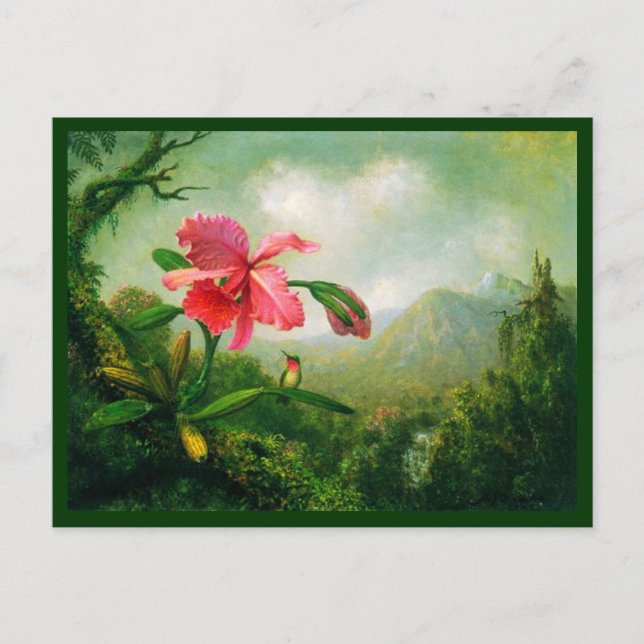 Postcard-Classic/Vintage-Martin Johnson Heade 7 Postcard (Front)