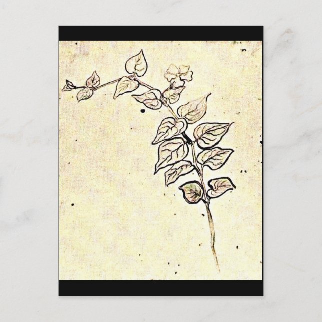 Postcard-Classic/Vintage-Vincent Van Gogh 208 Postcard (Front)