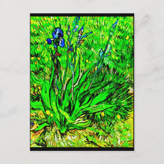 Postcard-Classic/Vintage-Vincent Van Gogh 213 Postcard