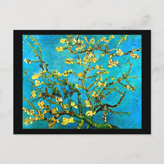 Postcard-Classic/Vintage-Vincent Van Gogh 3 Postcard (Front)