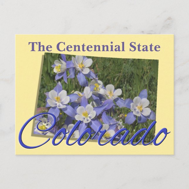Postcard - COLORADO (Front)