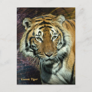 Postcard: Cosmic Tiger (Portrait) Postcard