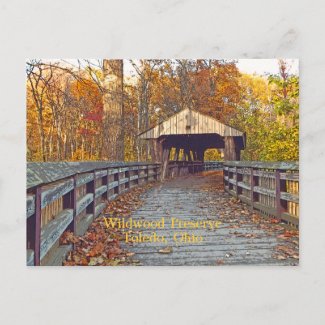 postcard, 