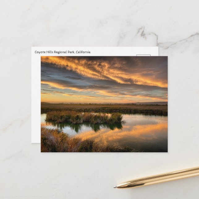 Postcard - Coyote Hills Regional Park, California (Front/Back In Situ)