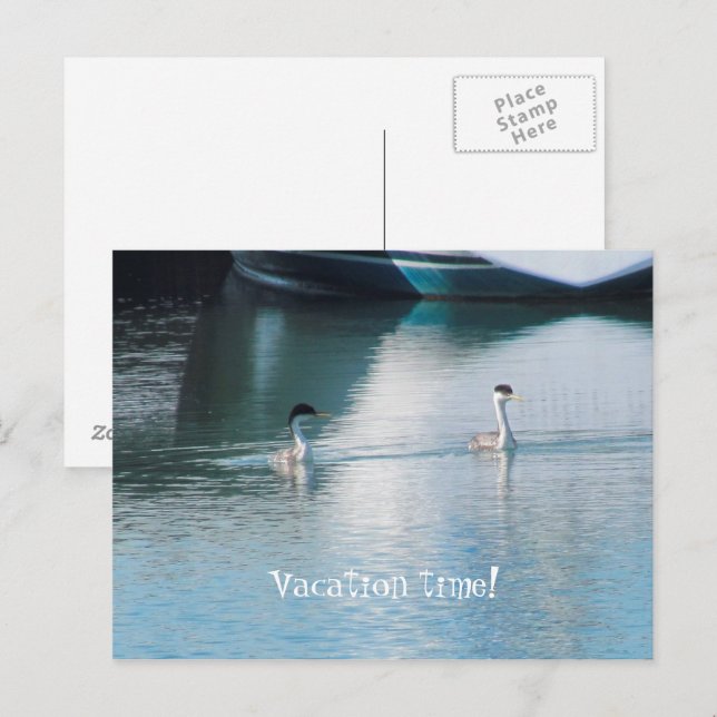 Postcard - Cruise Vacation (Front/Back)