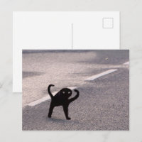 Postcard Cursed Cat Meme