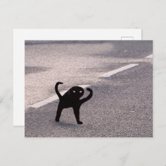 Postcard Cursed Cat Meme
