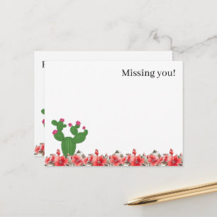 Postcard Cute Cactus Orange Flowers Missing you!