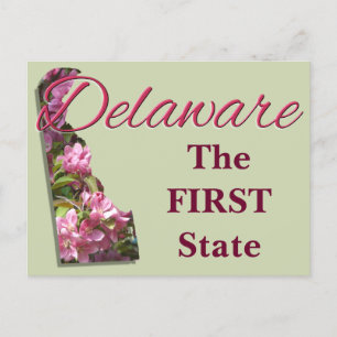 Postcard - DELAWARE