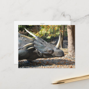 postcard _ dinosaur _ triceratops