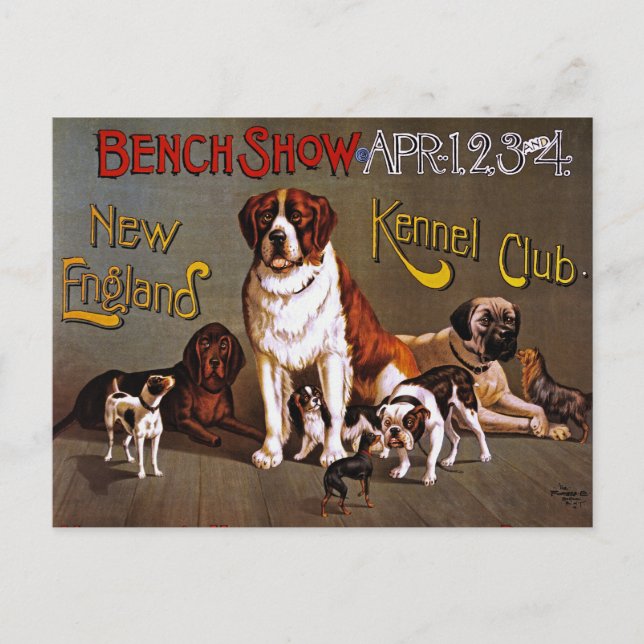 Postcard: Dog Show: Bench Show 1890 Postcard (Front)