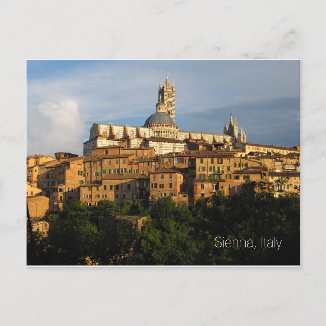 Postcard - Duomo di Siena, Italy (Front)