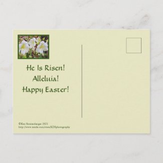 POSTCARD/EASTER GREETINGS/RELIGIOUS/DAYLILIES