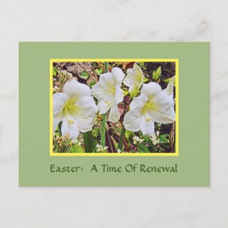 POSTCARD/EASTER GREETINGS/RELIGIOUS/DAYLILIES