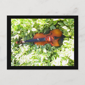 Postcard Fiddle and Ivy Violin post card