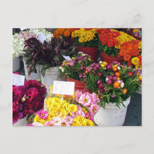 Postcard  Flower Market